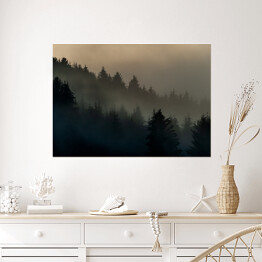 Plakat Wiecznie zielone drzewa w górach we mgle