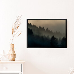 Obraz w ramie Wiecznie zielone drzewa w górach we mgle