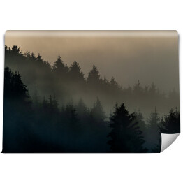 Fototapeta winylowa zmywalna Wiecznie zielone drzewa w górach we mgle
