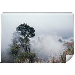 Fototapeta winylowa zmywalna Park Narodowy Wulkany Hawai'i we mgle