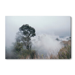 Obraz na płótnie Park Narodowy Wulkany Hawai'i we mgle