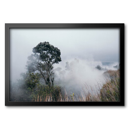 Obraz w ramie Park Narodowy Wulkany Hawai'i we mgle