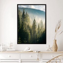 Obraz w ramie Widok na las i góry o poranku