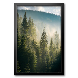 Obraz w ramie Widok na las i góry o poranku