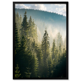 Plakat w ramie Widok na las i góry o poranku