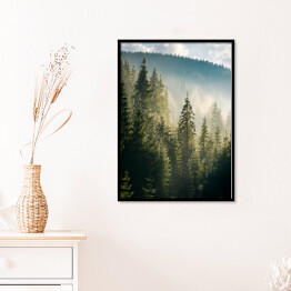 Plakat w ramie Widok na las i góry o poranku