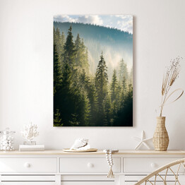Obraz na płótnie Widok na las i góry o poranku
