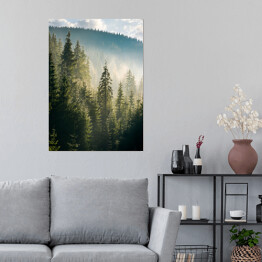 Plakat samoprzylepny Widok na las i góry o poranku