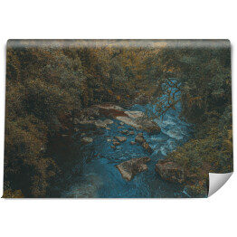 Fototapeta samoprzylepna Rwąca rzeka w skandynawskim lesie