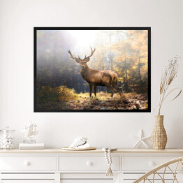 Obraz w ramie Majestatyczny jeleń w jesiennym lesie na tle promieni słonecznych