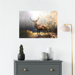Plakat samoprzylepny Majestatyczny jeleń w jesiennym lesie na tle promieni słonecznych