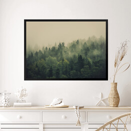 Obraz w ramie Zielony las w gęstej mgle