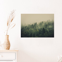 Plakat Zielony las w gęstej mgle