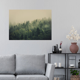 Plakat Zielony las w gęstej mgle