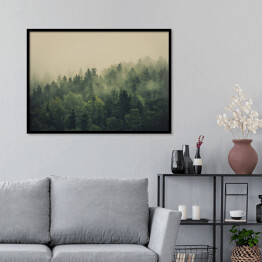 Plakat w ramie Zielony las w gęstej mgle
