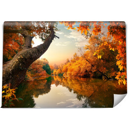 Fototapeta samoprzylepna Pomarańczowa jesień na rzece