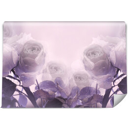 Fototapeta samoprzylepna Piękne fioletowe i białe róże w chmurze dymu