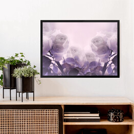 Obraz w ramie Piękne fioletowe i białe róże w chmurze dymu