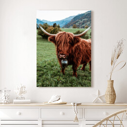 Obraz na płótnie Szkocka krowa na pastwisku wśród gór