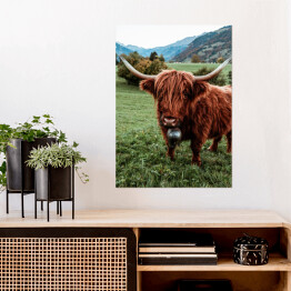 Plakat samoprzylepny Szkocka krowa na pastwisku wśród gór