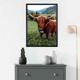 Obraz w ramie Szkocka krowa na pastwisku wśród gór