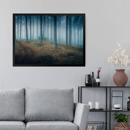Obraz w ramie Ciemny mroczny las we mgle