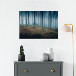 Plakat samoprzylepny Ciemny mroczny las we mgle