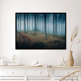 Plakat w ramie Ciemny mroczny las we mgle