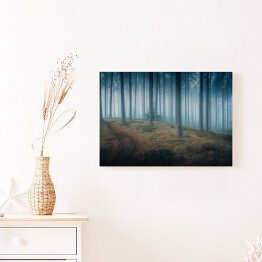 Obraz na płótnie Ciemny mroczny las we mgle