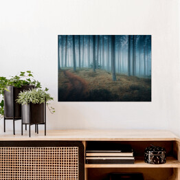 Plakat samoprzylepny Ciemny mroczny las we mgle