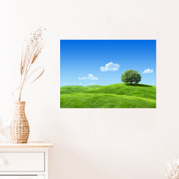 Plakat samoprzylepny Samotne drzewo na zielonej łące w wiosenny dzień
