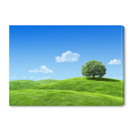 Obraz na płótnie Samotne drzewo na zielonej łące w wiosenny dzień