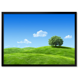 Plakat w ramie Samotne drzewo na zielonej łące w wiosenny dzień