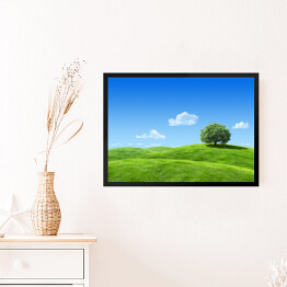 Obraz w ramie Samotne drzewo na zielonej łące w wiosenny dzień