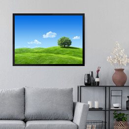 Obraz w ramie Samotne drzewo na zielonej łące w wiosenny dzień