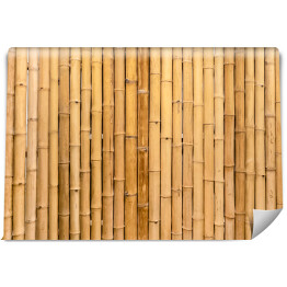Fototapeta samoprzylepna Suchy bambusowy mural ścienny sprawiłby, że świetny naturalny projekt tapety, a nawet mógłby pracować jako powtarzający się wzór, aby stworzyć orientalny projekt granicy stylu.