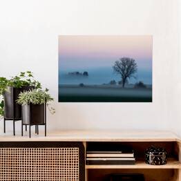 Plakat samoprzylepny Krajobraz z gęstą mgłą o poranku