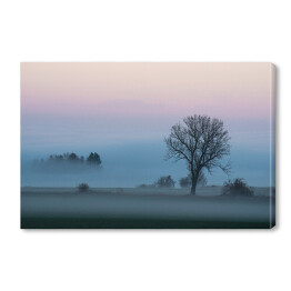 Obraz na płótnie Krajobraz z gęstą mgłą o poranku