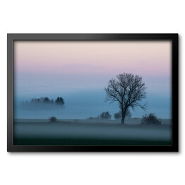 Obraz w ramie Krajobraz z gęstą mgłą o poranku