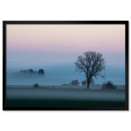 Plakat w ramie Krajobraz z gęstą mgłą o poranku