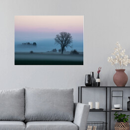 Plakat samoprzylepny Krajobraz z gęstą mgłą o poranku