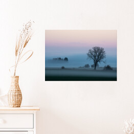 Plakat Krajobraz z gęstą mgłą o poranku