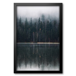 Obraz w ramie Las we mgle na skraju jeziora