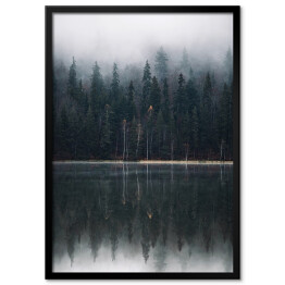 Plakat w ramie Las we mgle na skraju jeziora