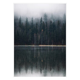 Plakat samoprzylepny Las we mgle na skraju jeziora