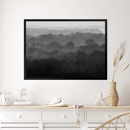 Obraz w ramie Bezkresny las we mgle
