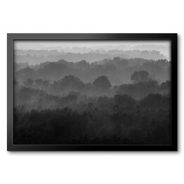 Obraz w ramie Bezkresny las we mgle