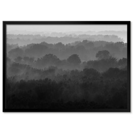 Plakat w ramie Bezkresny las we mgle