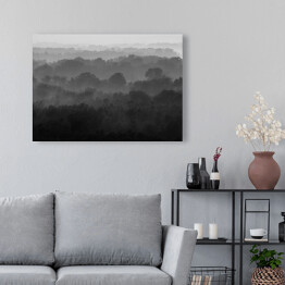 Obraz na płótnie Bezkresny las we mgle