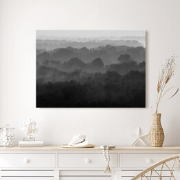 Obraz na płótnie Bezkresny las we mgle